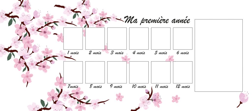 Cadre ma première année - illustration