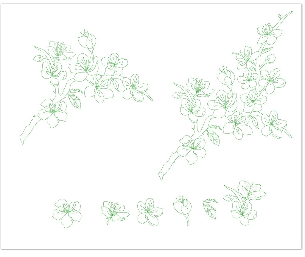 dessin des fleurs - faire part naissance