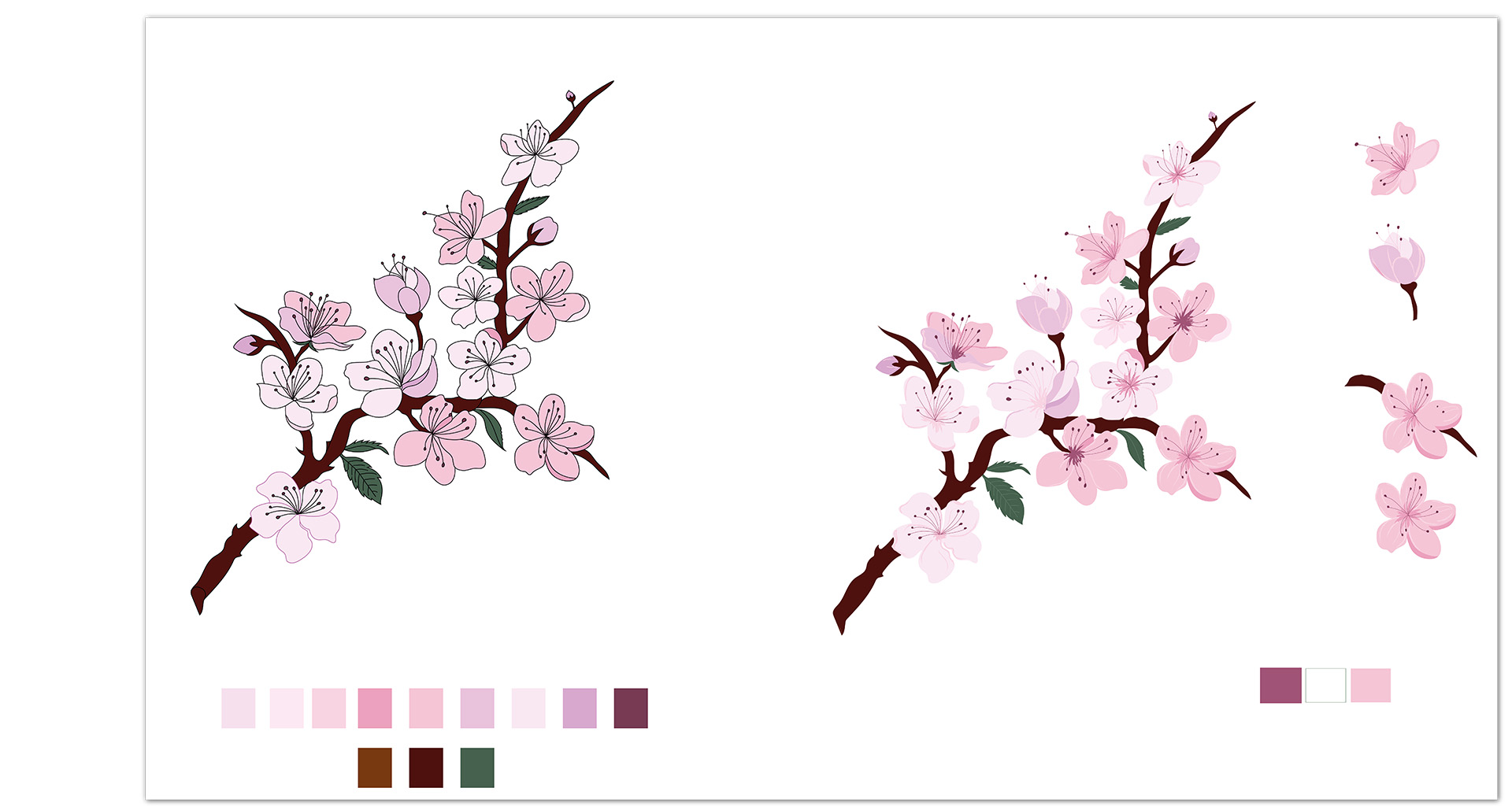 Mis en couleur des fleurs - faire part ma première année